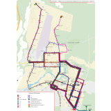 Общая схема оптимизированной муниципальной маршрутной сети.png